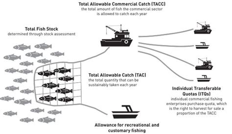 Implementing Quota Systems