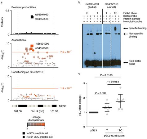 Importance of Blank Cells