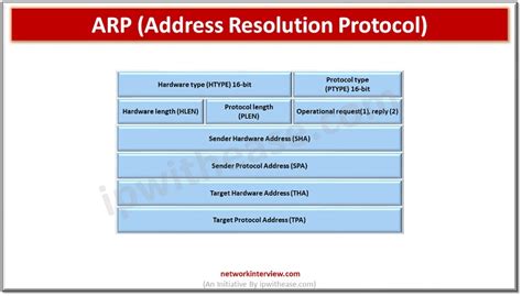 Understanding the Importance of Protocol