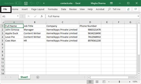 Importing contacts into Excel for Christmas card list