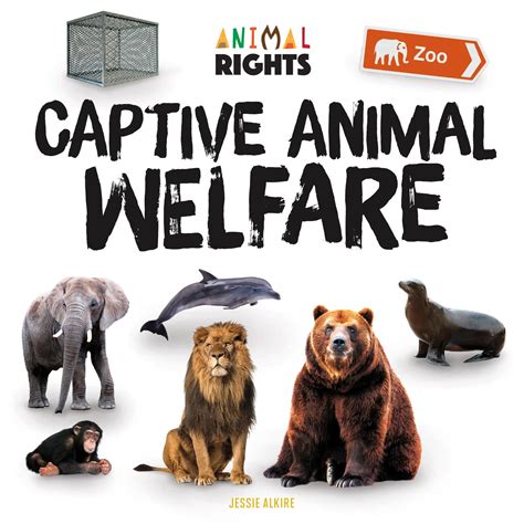 Improving Animal Welfare