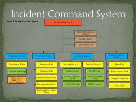 Incident Command System