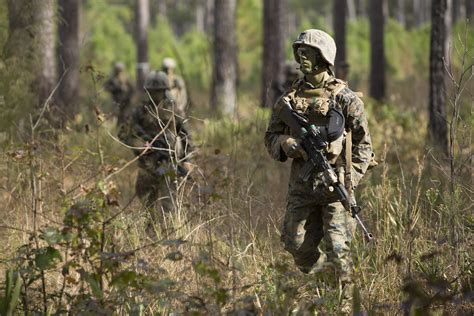 Infantry training battalion exercises