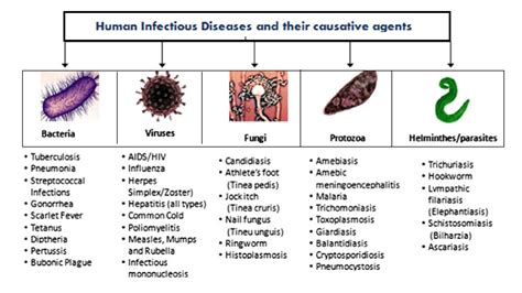 Infectious Diseases