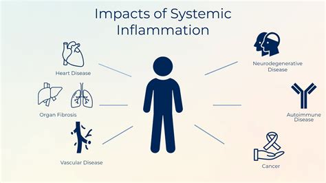 Inflammatory system illustration