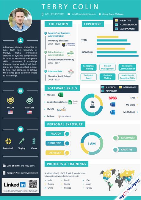 Infographic Resume Template 1