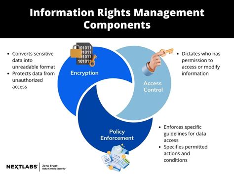 Using Information Rights Management to lock conditional formatting