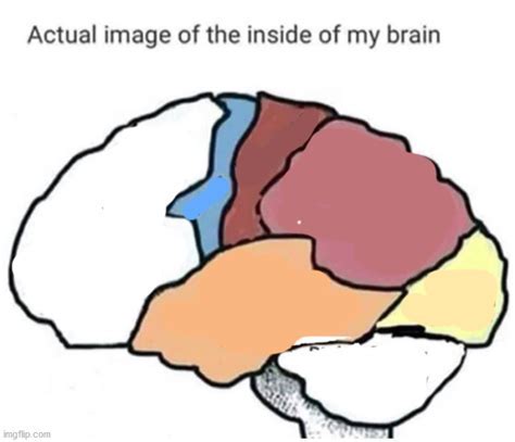 Inside My Brain Meme Template Image