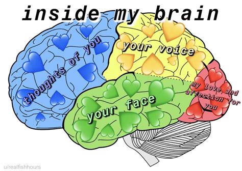 Inside My Brain Memes Image