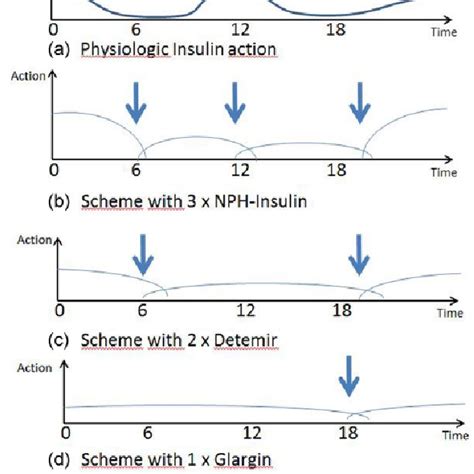 Insulin Administration Medication Template Example