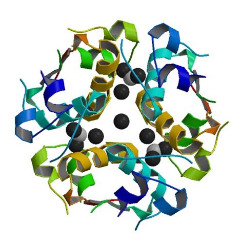 Insulin Lispro Interactions