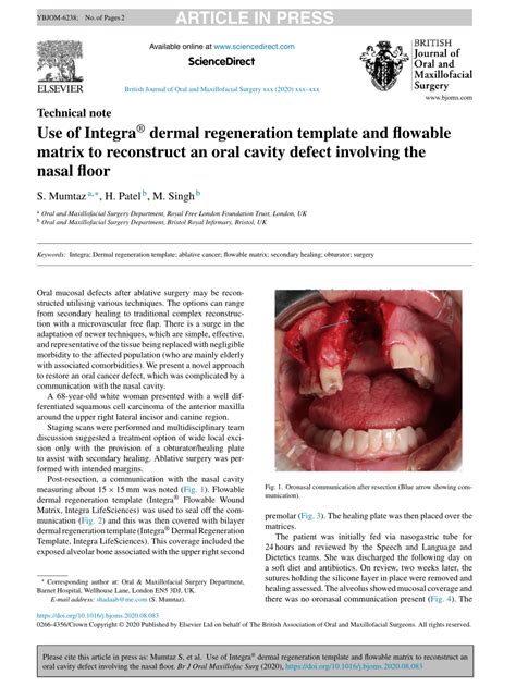 Integra Dermal Regeneration Template Outcomes