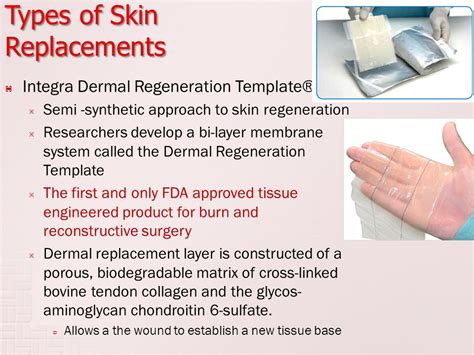 Integra Dermal Regeneration Template Precautions