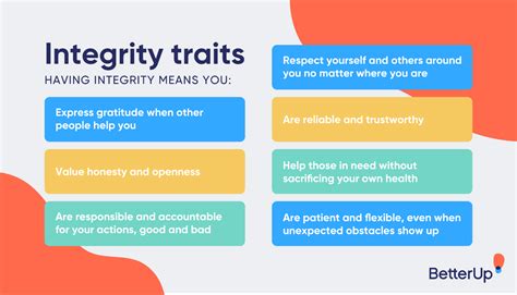 Integrity Examples