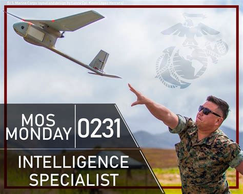 Intelligence Specialist