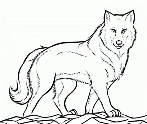 Intermediate wolf coloring pages for kids