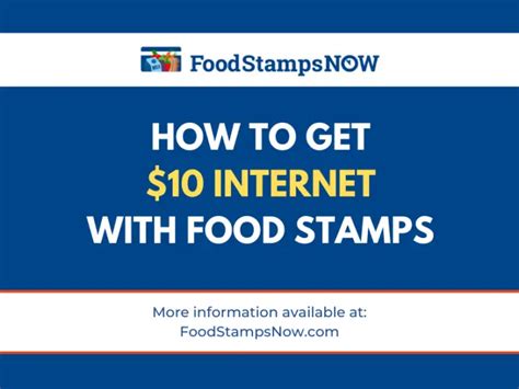 Internet access initiatives for food stamp recipients