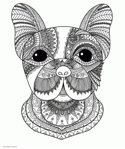 Intricate animal coloring page