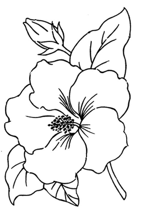 Intricate Hibiscus Template Example