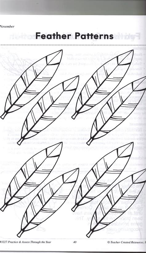 Intricate Turkey Feather Template