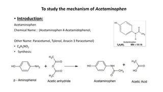 Introduction to Acetaminophen Combinations