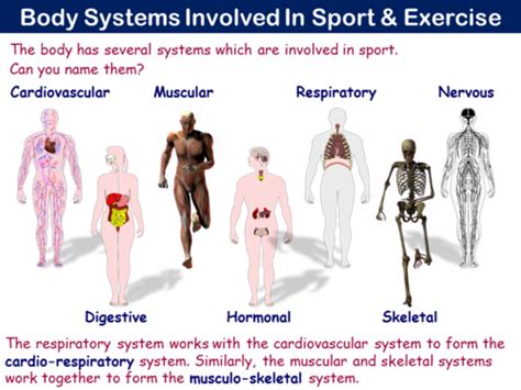 Introduction to Body Systems