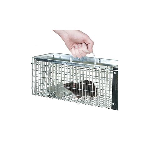 Introduction to Rodent Traps