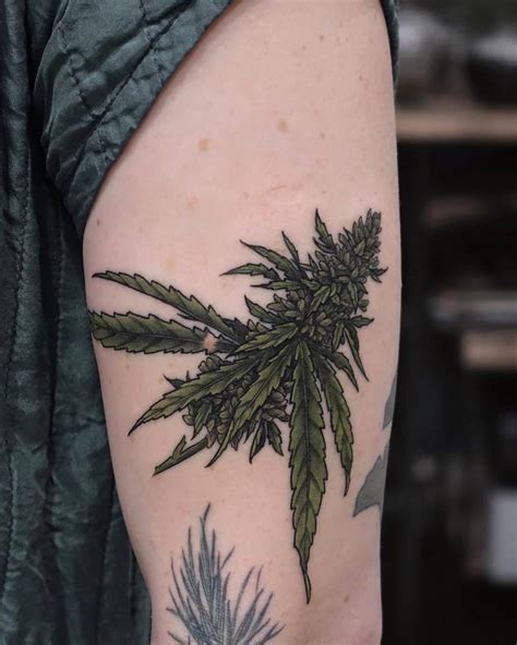 Introduction to Weed Tattoo Designs