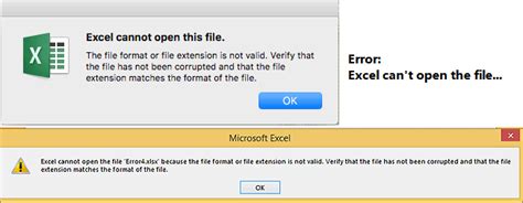 Invalid Excel File Extension Error Image 1