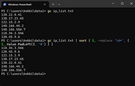 IP Address Sorting Example 2