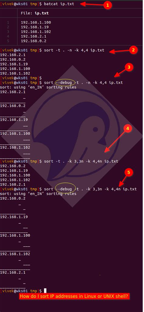 IP Address Sorting Example 4