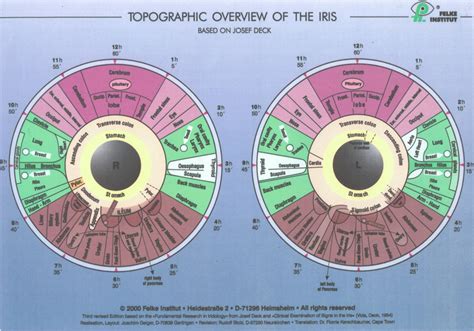 Iridology Chart Readings