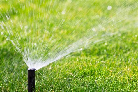 Irrigation Services