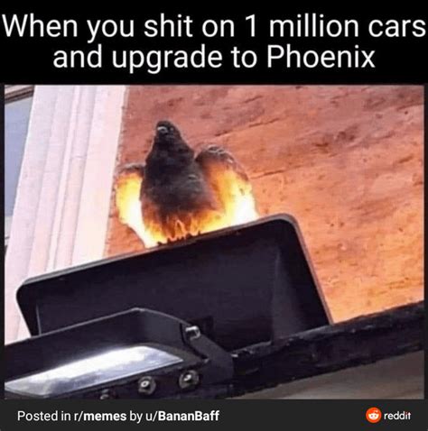 Is This a Pigeon? meme