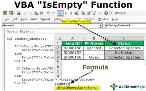 IsEmpty Function in VBA Example