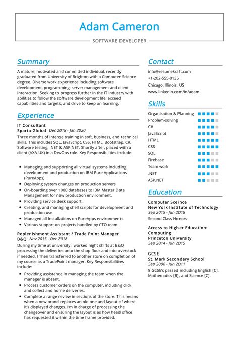 IT Consultant Resume Template