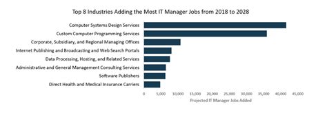 IT Management Job Outlook