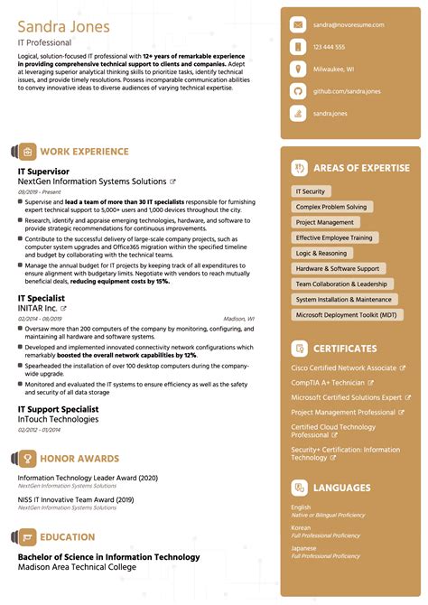 IT Resume Template Example