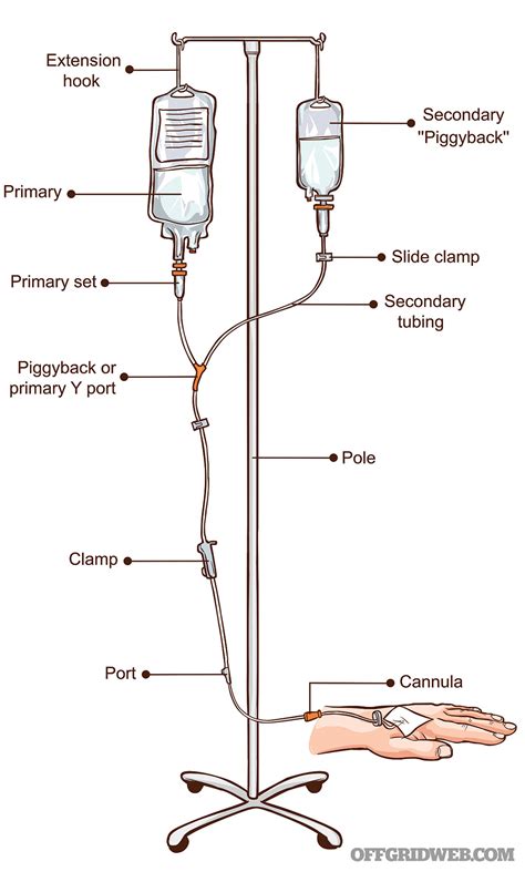 IV Therapy Basics