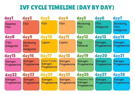 IVF Due Date Calendar Example 1