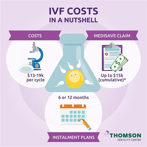 Description of IVF Costs