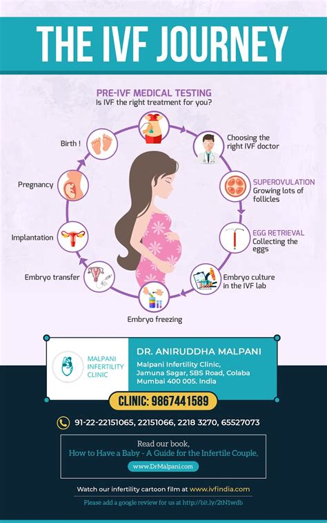 IVF Journey Timeline