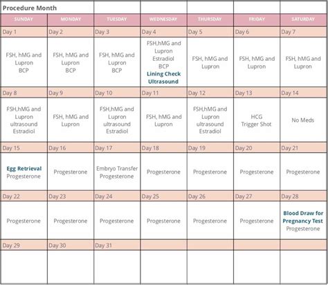 IVF pregnancy calendar for tracking due date