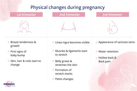 IVF Pregnancy Physical Changes