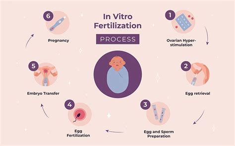 IVF Pregnancy Timeline