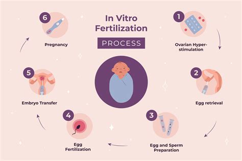 IVF Pregnancy Timeline