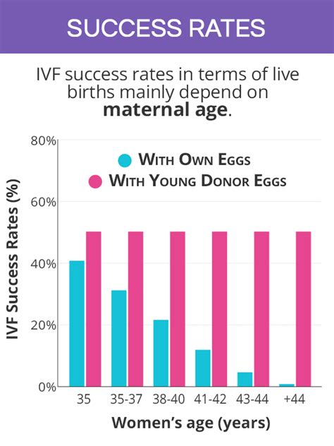 IVF Success Rates