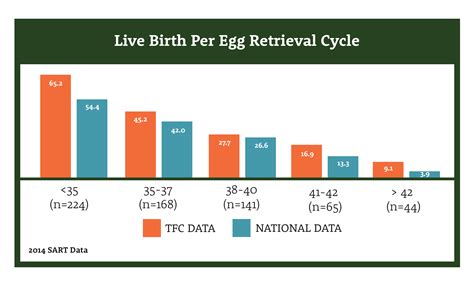 IVF Success Rates and Statistics