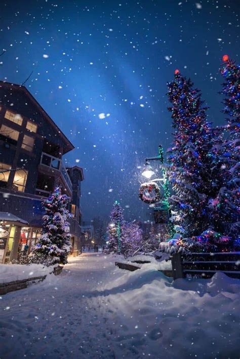 Jackson Hole Christmas tree decorated with lights and ornaments