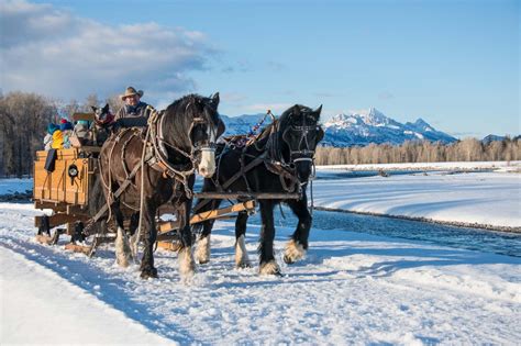 Horse-drawn sleigh ride in Jackson Hole